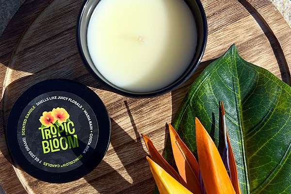 Tropic Bloom - Where the rainforest meets the sea