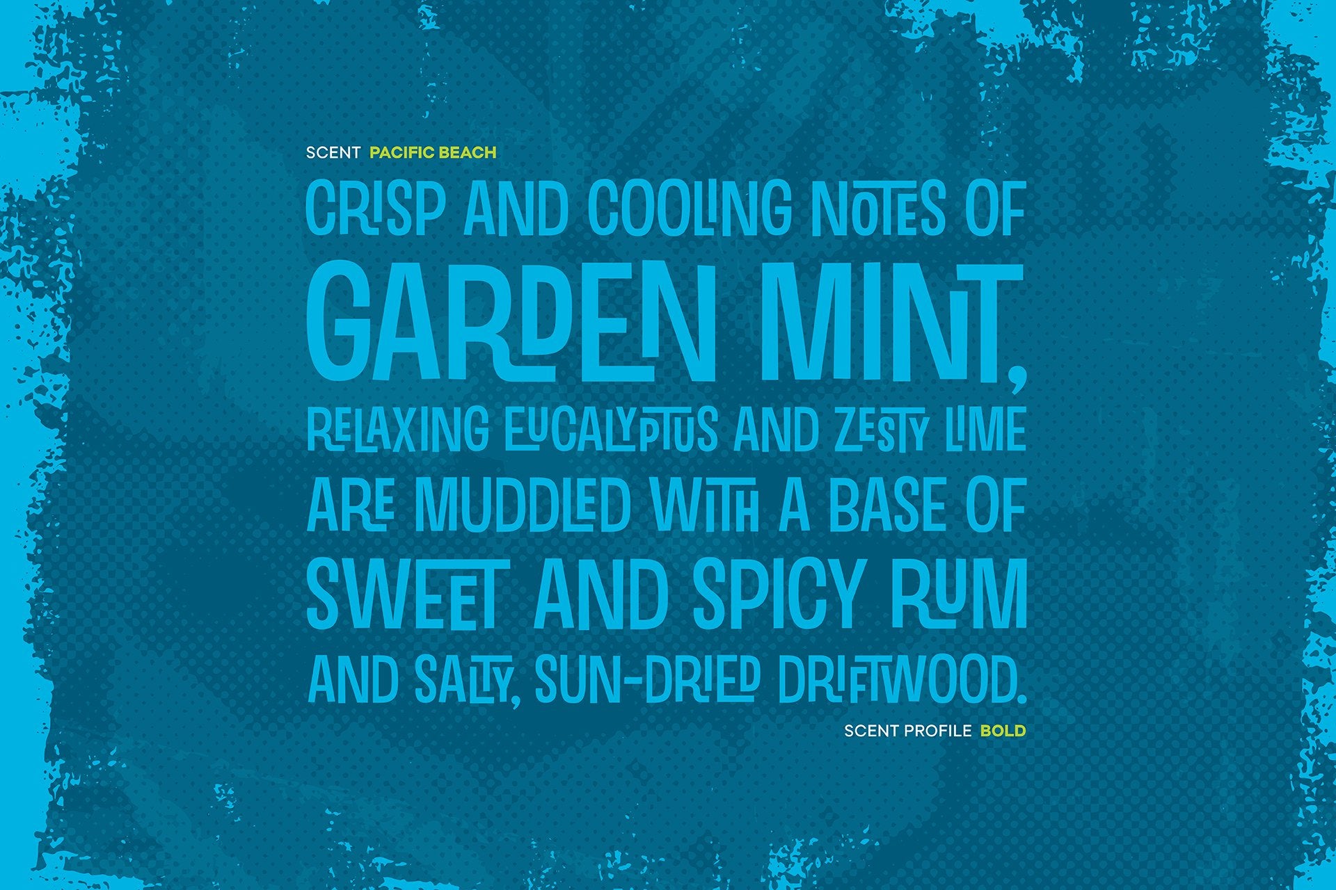 Sonicglow Pacific Beach scent notes description. Text and graphic treatment complement Sonicglow candle sleeve wrap.
